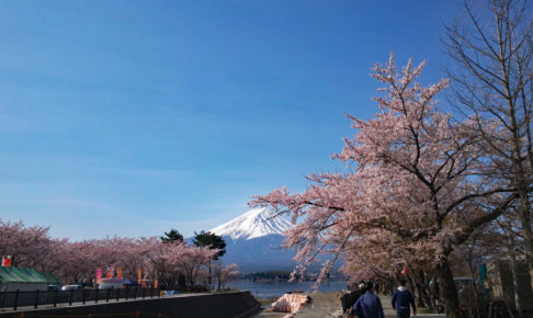 【速報】チャレンジ富士山五湖ウルトラマラソン